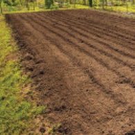 Green Gables Soil feature August 2020