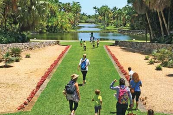 Walking at Fairchild Tropical Botanic Garden Green Gables June 2023 feature image