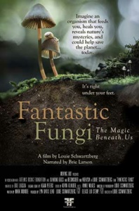 Fantastic Fungi poster