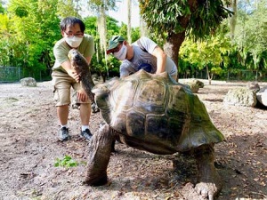 Mauro Galetti with Galapagos tortoise