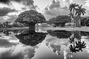 Black and white photo of Coral Gables by Carlos V. Causo.