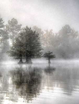 A monochrome landscape of an early morning fog. Trees in the fog with their reflection in the lake water. Photo by Chuck Milber.