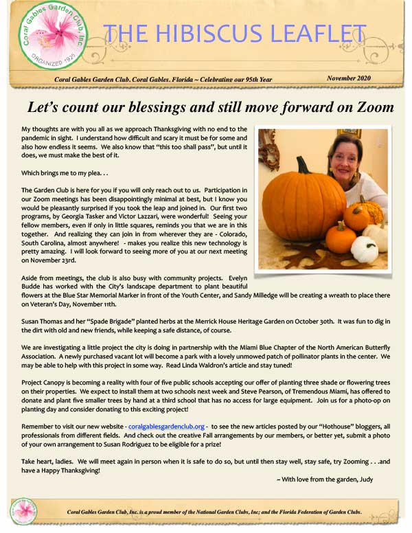 November 2020 Hibiscus Leaflet