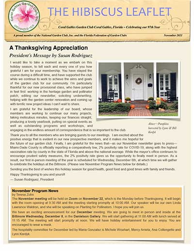 Hibiscus Leaflet November 2021