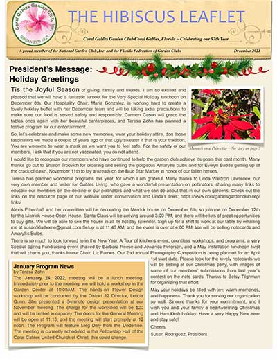 Hibiscus Leaflet December 2021