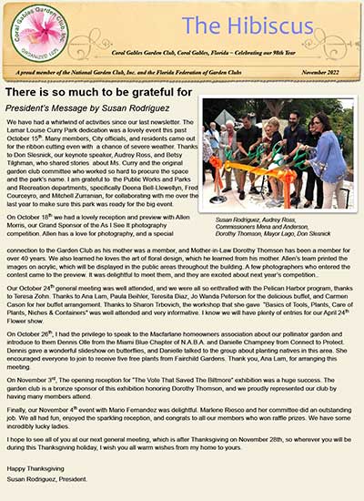 Hibiscus-Leaflet-2022-11-November-cover-image