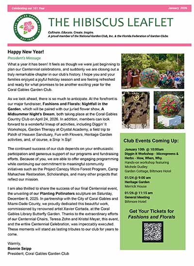 January 2025 Hibiscus Leaflet Newsletter