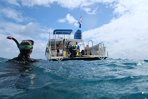 University of Miami Rosenstiel School's coral conservation program-expedition