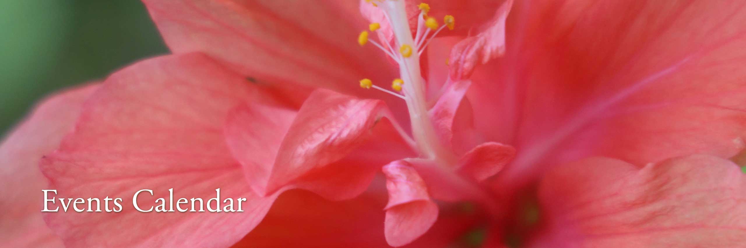 banner-events-calendar-hibiscus