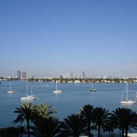 Kelly-Cox-biscayne-bay-feature