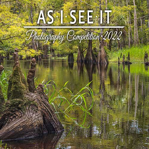 As I See It Photo Contest