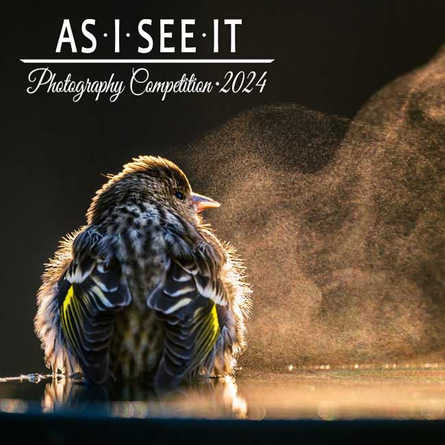 As I See It Photo Contest 2022