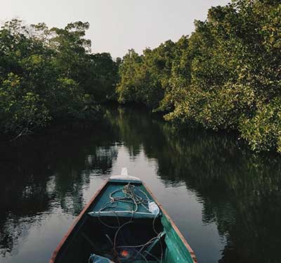 Red Mangrove Project Canoe