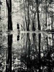 And into the forest I go to lose my mind and find my soul